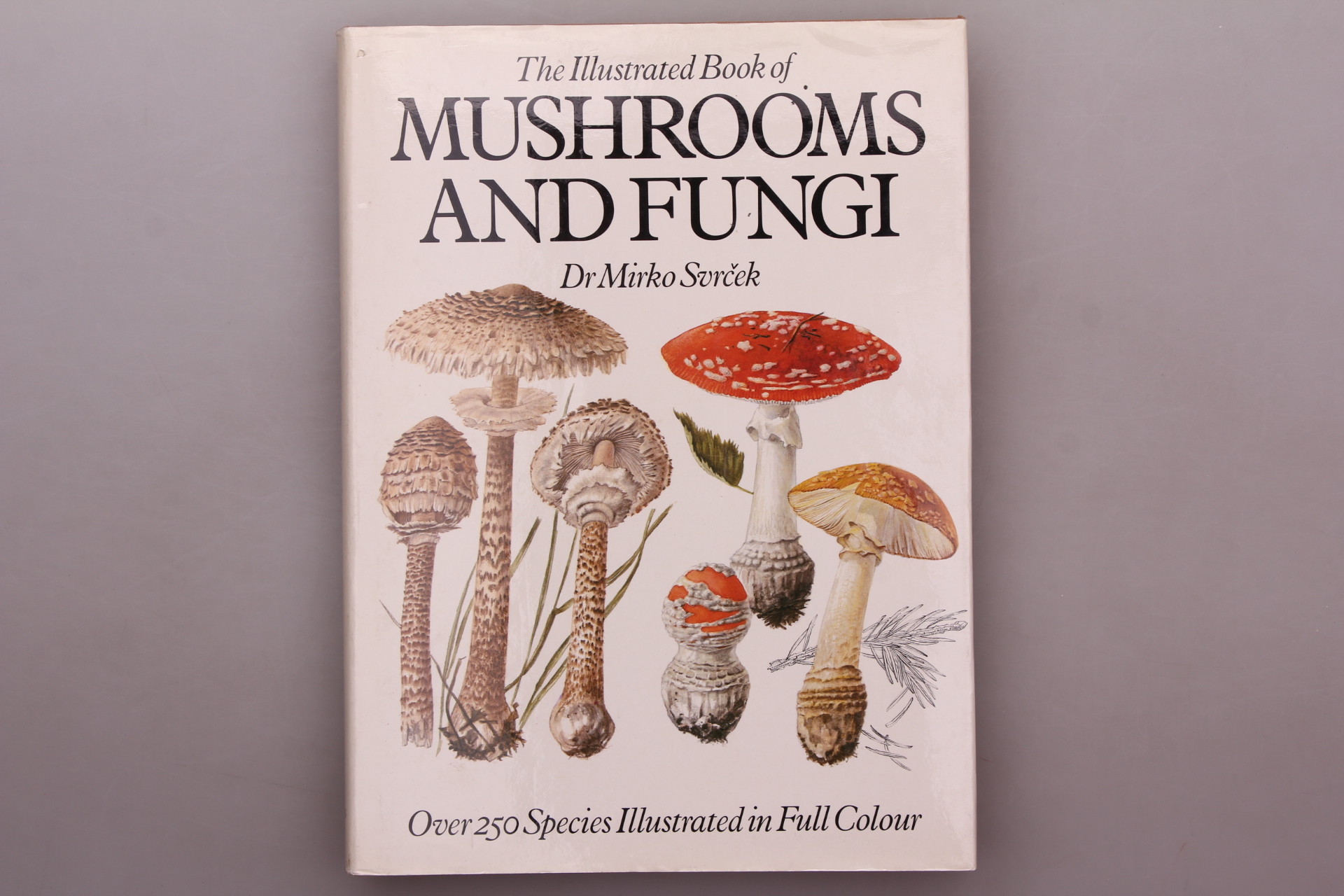 The Illustrated Book Of Mushrooms And Fungi Infinibu Das Buchuniversum