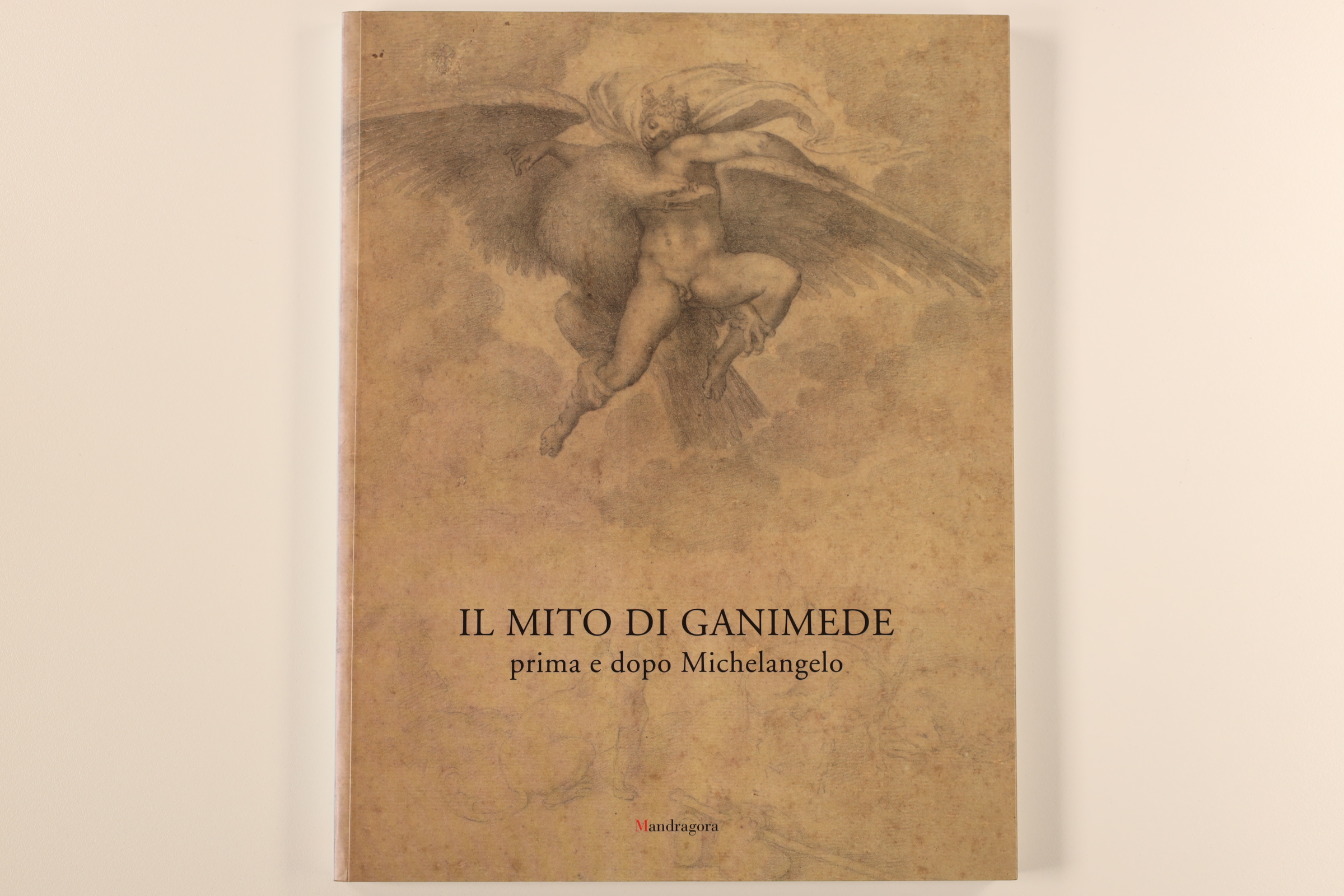 Il Mito Di Ganimede Prima E Dopo Michelangelo Catalogo Della Mostra Firenze Giugno